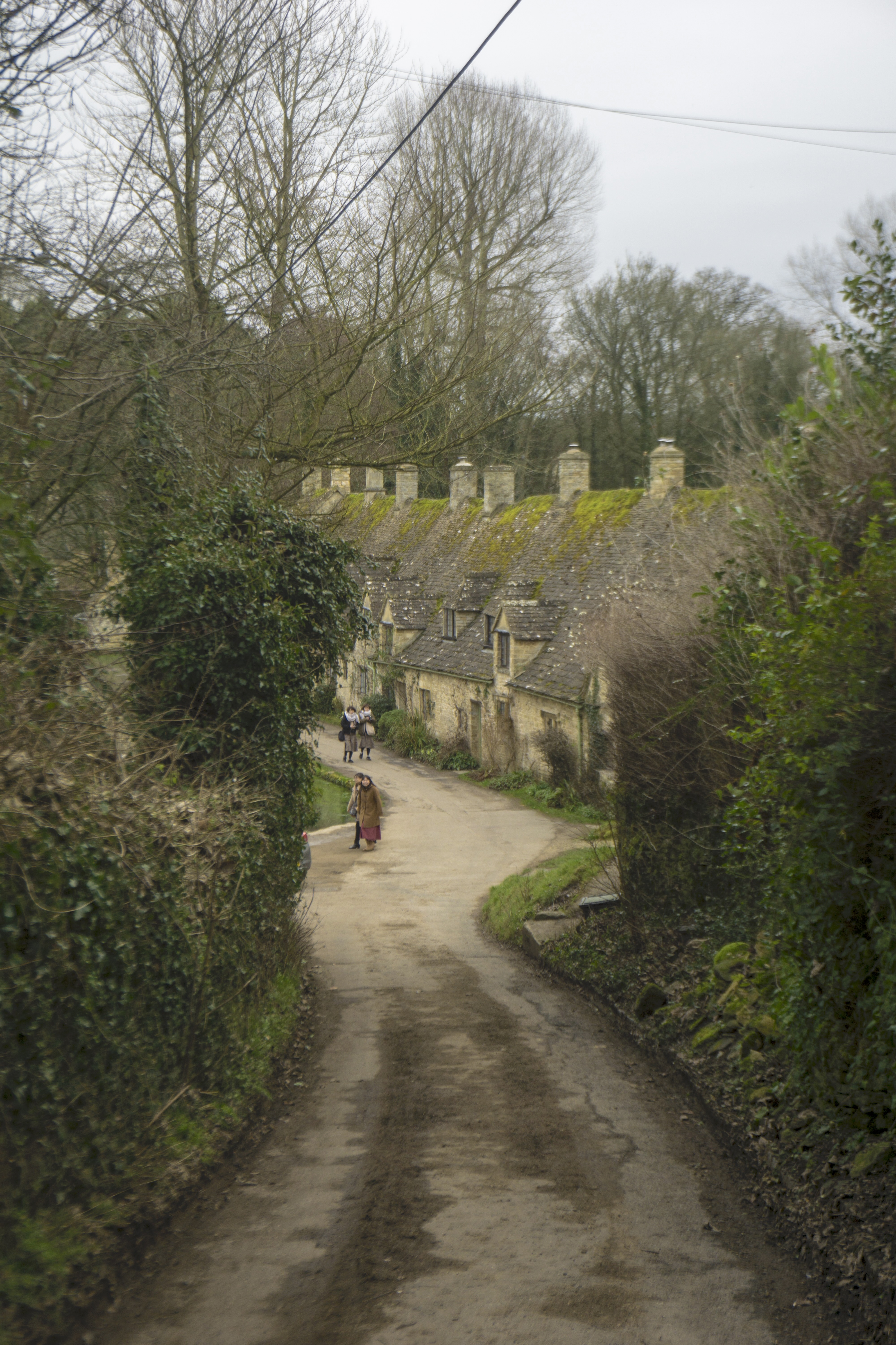 Cotswold